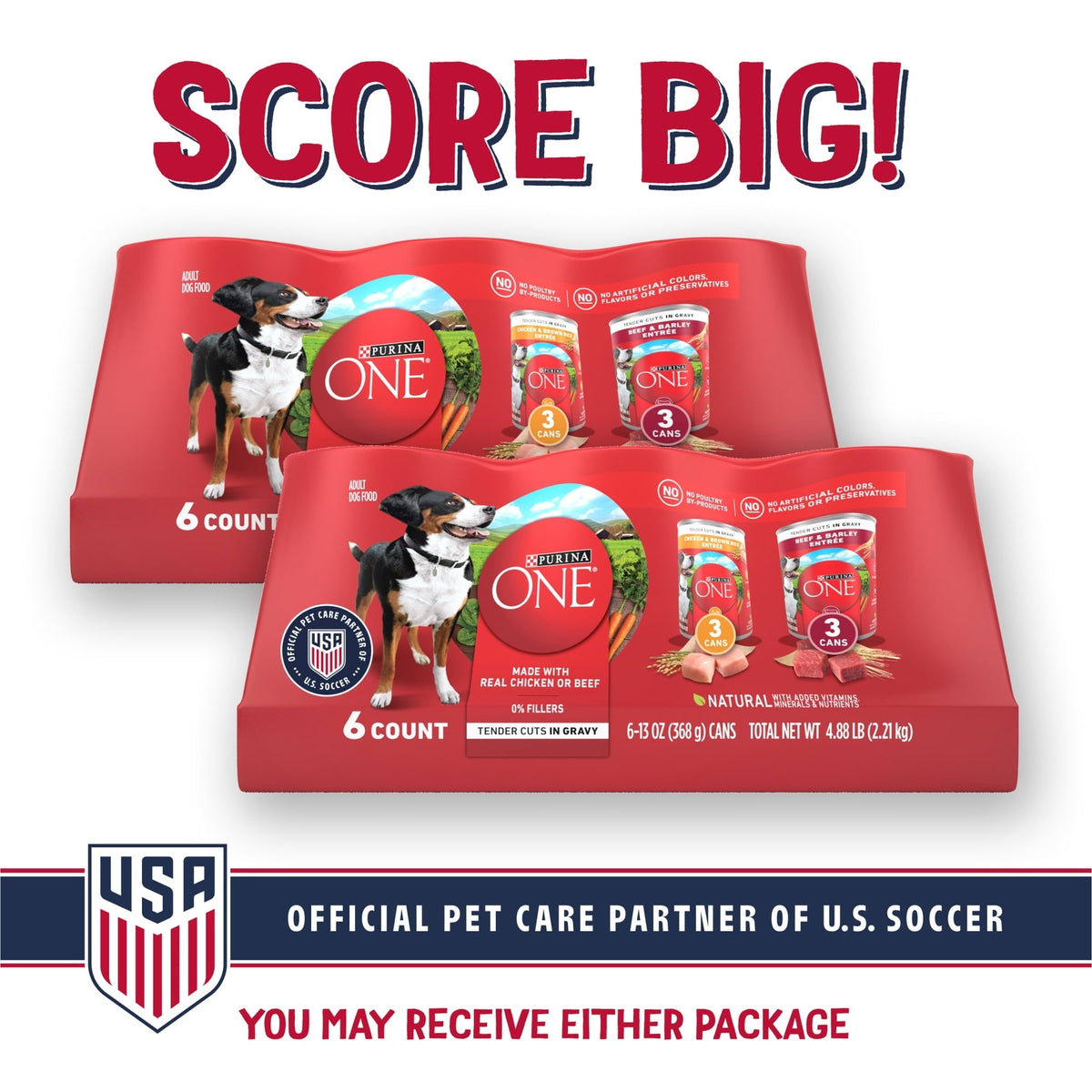 Purina ONE Tender Cuts in Gravy Chicken and Brown Rice, and Beef and Barley Entrees Wet Dog Food Variety Pack, 13 oz Cans ()