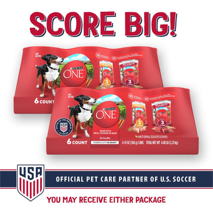 Purina ONE Tender Cuts in Gravy Chicken and Brown Rice, and Beef and Barley Entrees Wet Dog Food Variety Pack, 13 oz Cans ()
