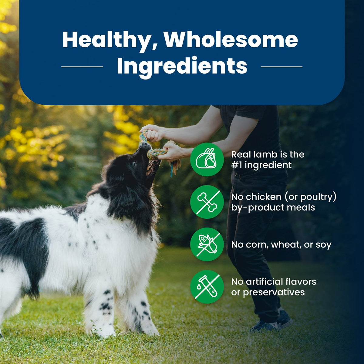 Blue Buffalo Life Protection Formula Adult Dry Dog Food, Lamb & Brown Rice