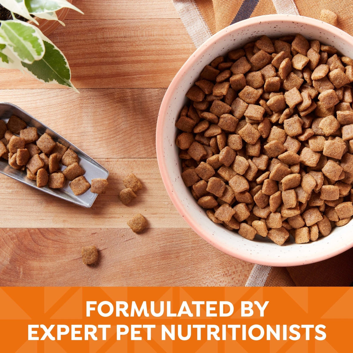 Nature's Recipe Grain Free Chicken, Sweet Potato & Pumpkin Dry Dog Food