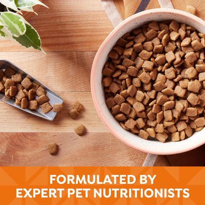 Nature's Recipe Grain Free Chicken, Sweet Potato & Pumpkin Dry Dog Food