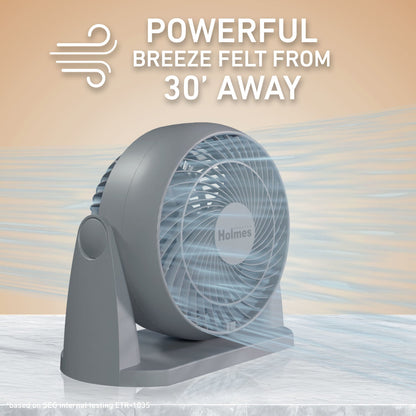 Holmes Blizzard 3-Speed Air Circulator Fan, 90° Adjustable Tilt, Removable Grill, Gray