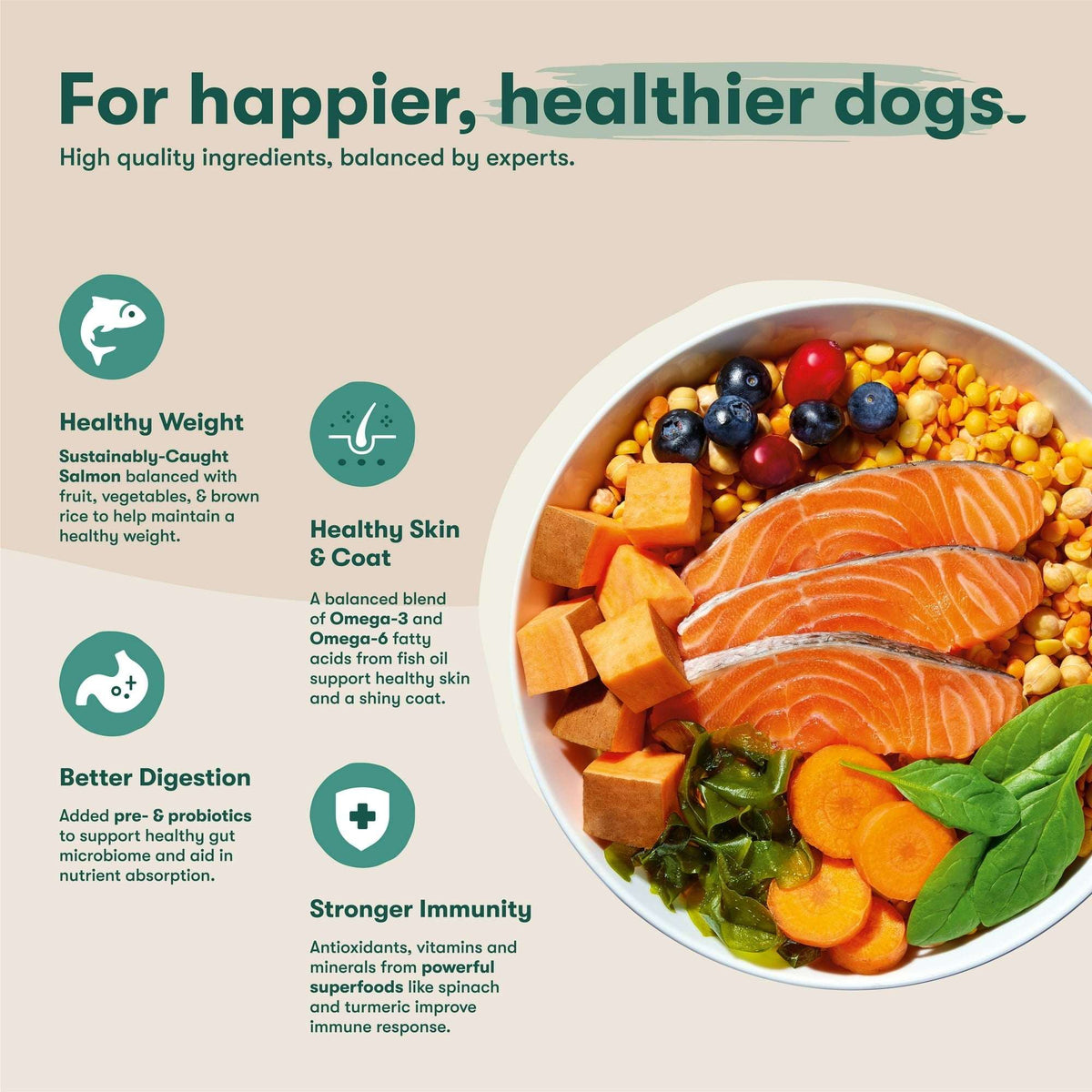 Jinx Salmon, Sweet Potato, & Carrot Grain Free Dry Dog Food, 4 lbs Bag