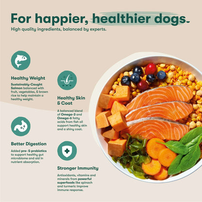 Jinx Salmon, Sweet Potato, & Carrot Grain Free Dry Dog Food, 4 lbs Bag