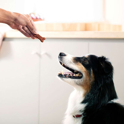 Milk Bone Soft & Chewy Dog Treats Made With Real Bacon, 5.6 oz Bag