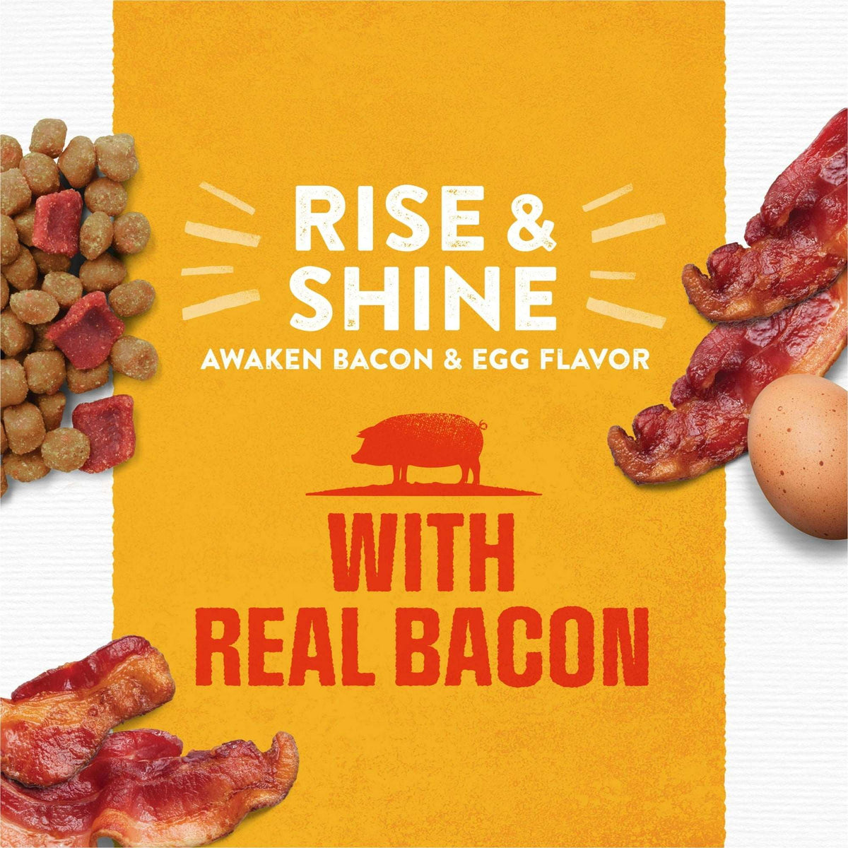 Purina Moist and Meaty Rise and Shine Awaken Bacon and Egg Flavor Soft Dog Food High Protein Pouches (12 Pouches)
