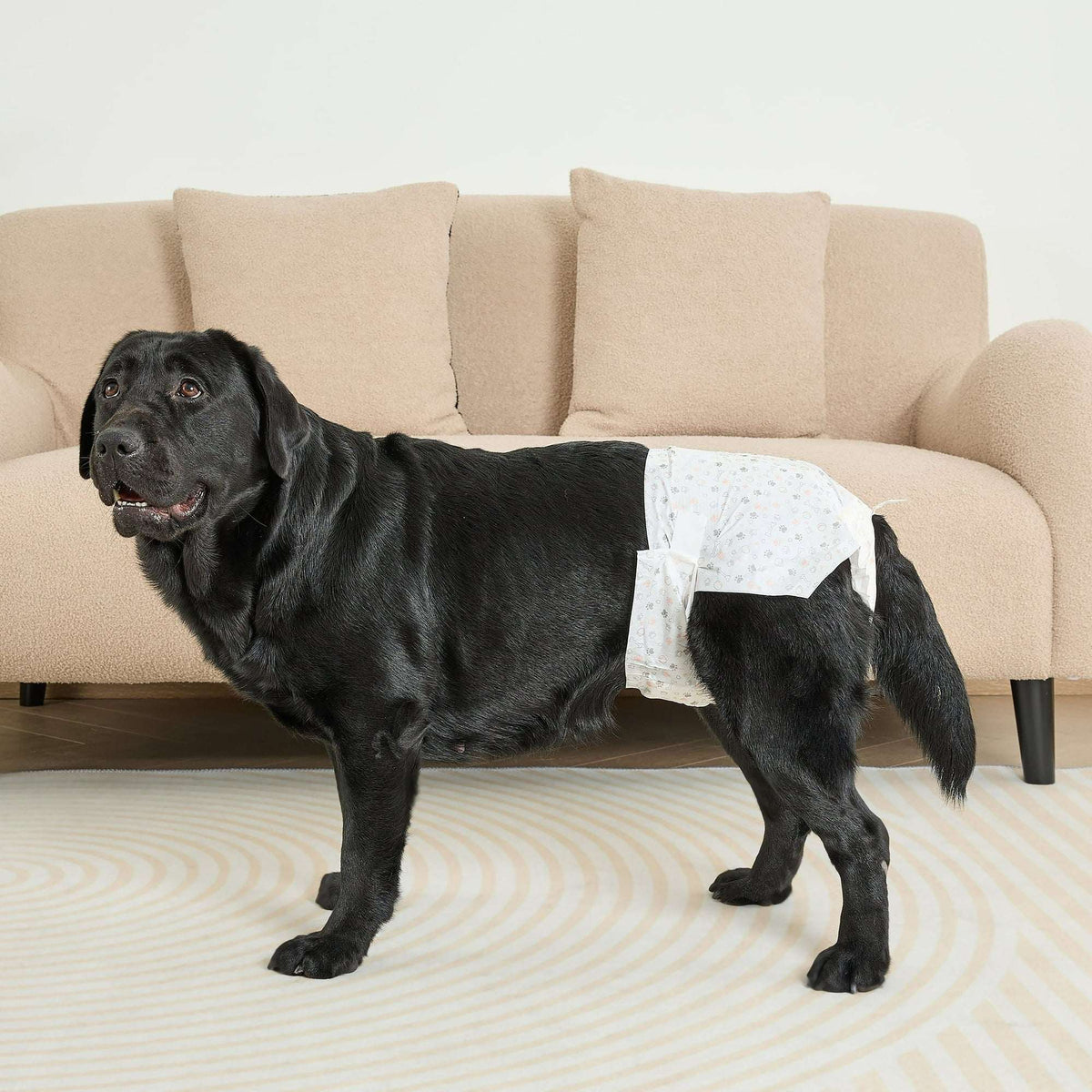(2 pack) Vibrant Life Disposable Dog Diapers for Female Dogs, L, 12 Count