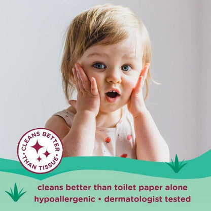 Parent's Choice Flushable Melon berry Scented Wipes (Choose Your Count)