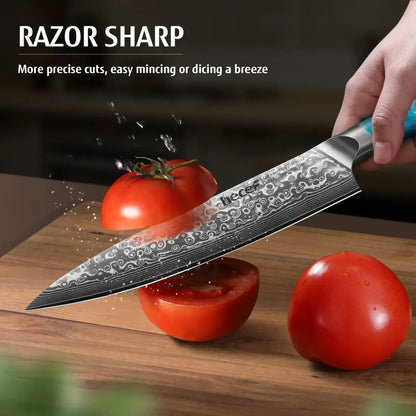 Hecef 8-Inch Chef Knife, Japanese Damascus Steel Blade with Resin Handle