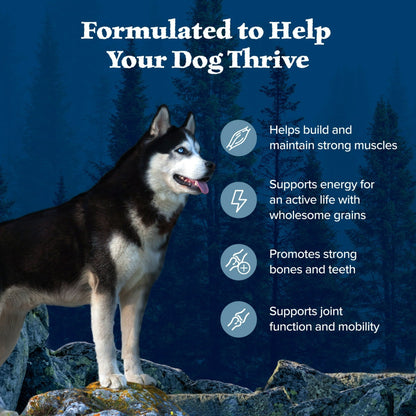 Blue Buffalo Wilderness Natural Dry Dog Food Plus Wholesome Grains, Chicken