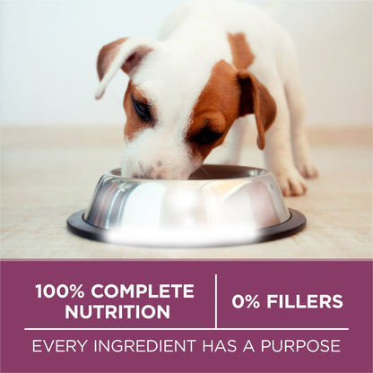 Purina ONE Plus Healthy Puppy Dry Dog Food, High Protein Growth Support with Real Chicken