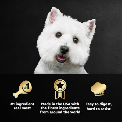 Cesar Loaf in Sauce Beef Recipe Adult Wet Dog Food, 3.5 oz Easy Peel Trays