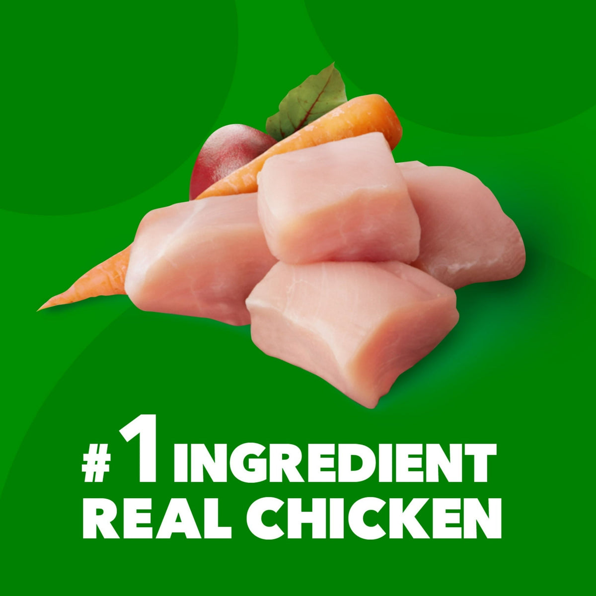 IAMS Proactive Health Adult Minichunks Chicken & Whole Grain Recipe Dry Dog Food