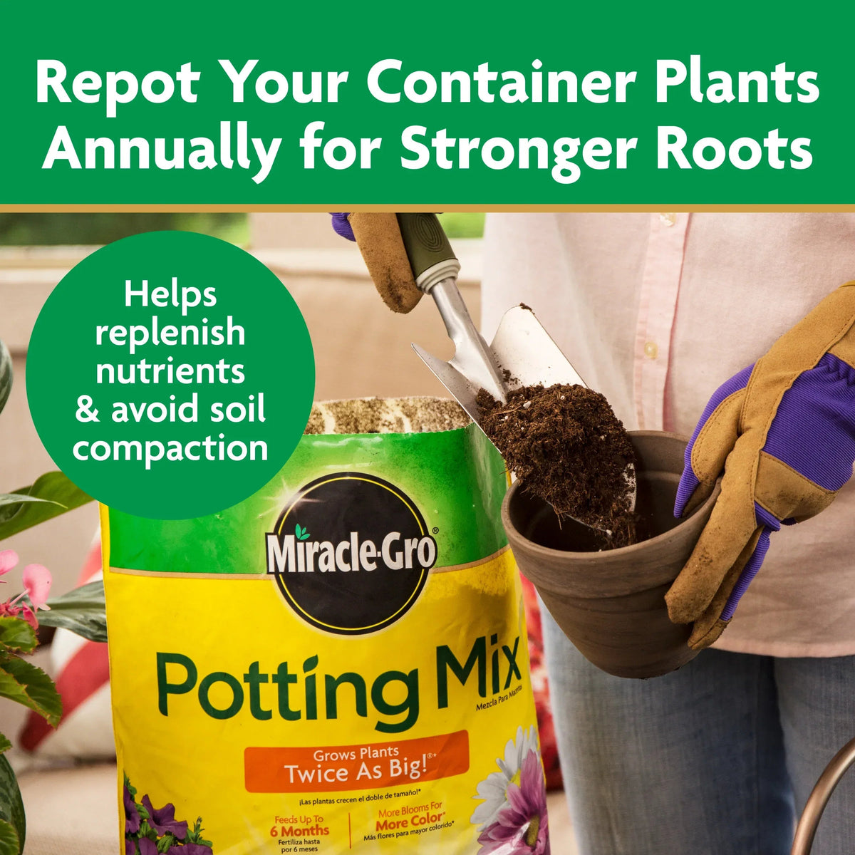 Miracle-Gro Potting Mix, For Indoor or Outdoor Potted Plants, Flowers, Shrubs, 8 qt.