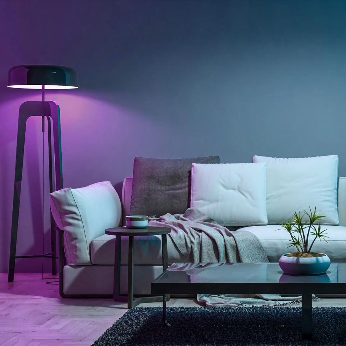 Feit Electric Smart LED 9 Watt (60 Watt Eq.) Color Changing/Tunable White Light Bulb, A19, E26, Dimmable