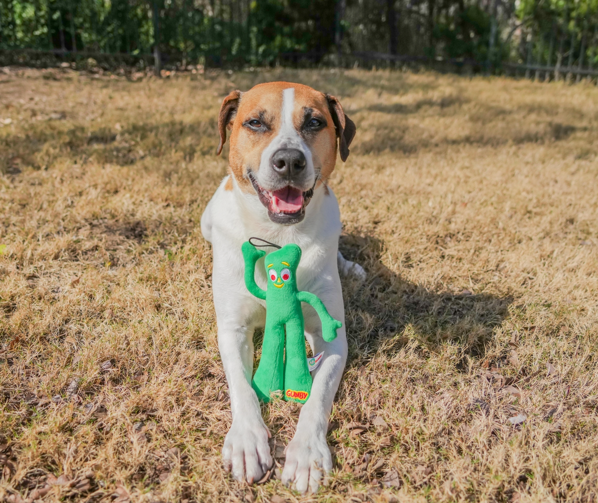 Multipet Gumby Plush Dog Toy, Green, Squeaker