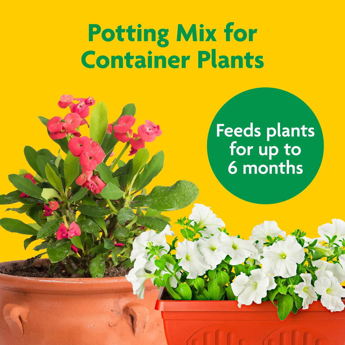Miracle-Gro Potting Mix, For Indoor or Outdoor Potted Plants, Flowers, Shrubs, 8 qt.