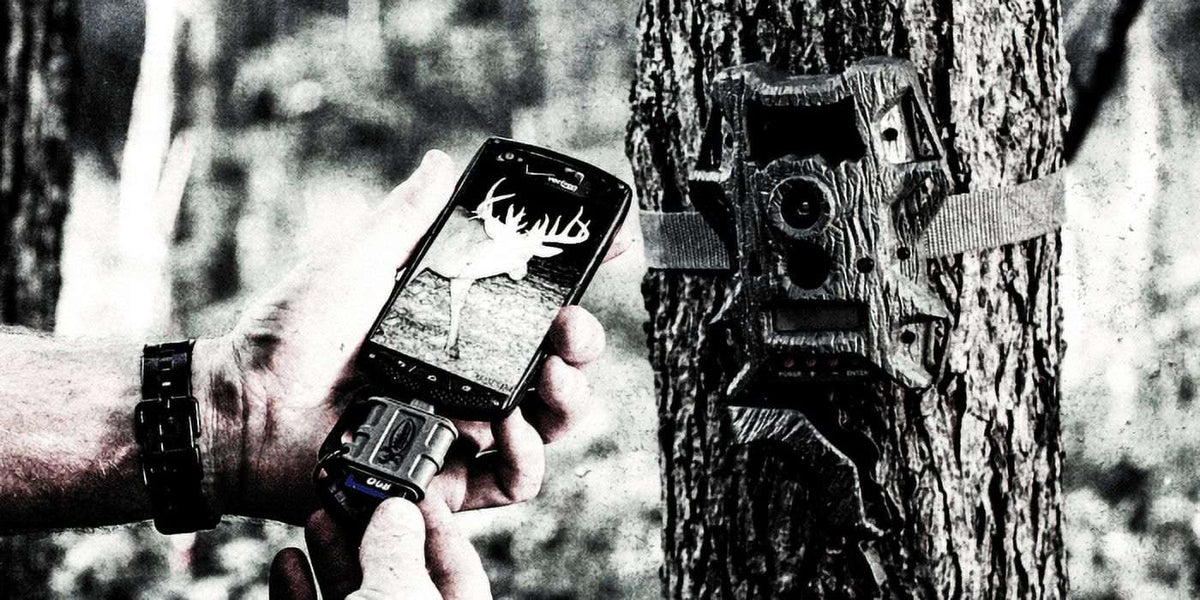 Wildgame Innovations SD Card Reader Compatible with Android Devices | Compact Memory Card Reader for Smartphone | Trail Camera Accessory for Viewing Photos & Videos