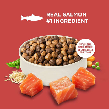 Rachael Ray Nutrish Dry Dog Food Real Salmon, Veggies & Brown Rice Recipe