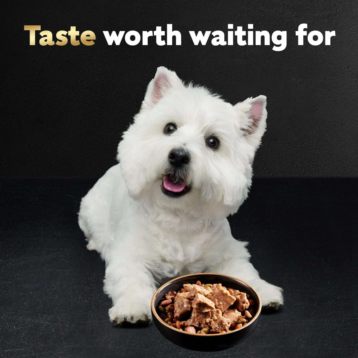 Cesar Steak And Chicken Lovers Wet Dog Food Variety Pack, 3.5 Oz Trays (36 Pack)