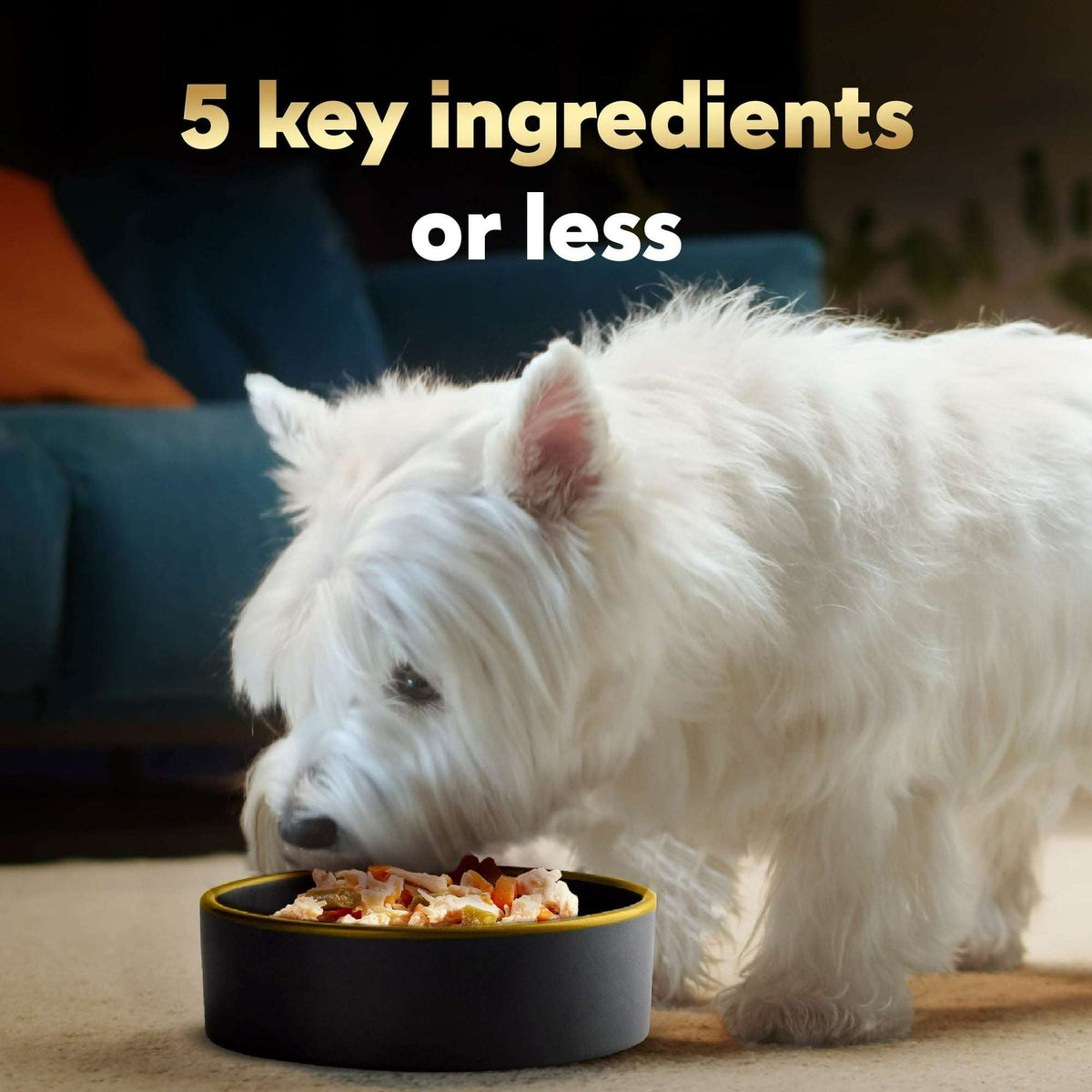 Cesar Simply Crafted Chicken and Vegetables Variety Pack Wet Dog Food Toppers, 1.3 oz Tubs (8 Ct)