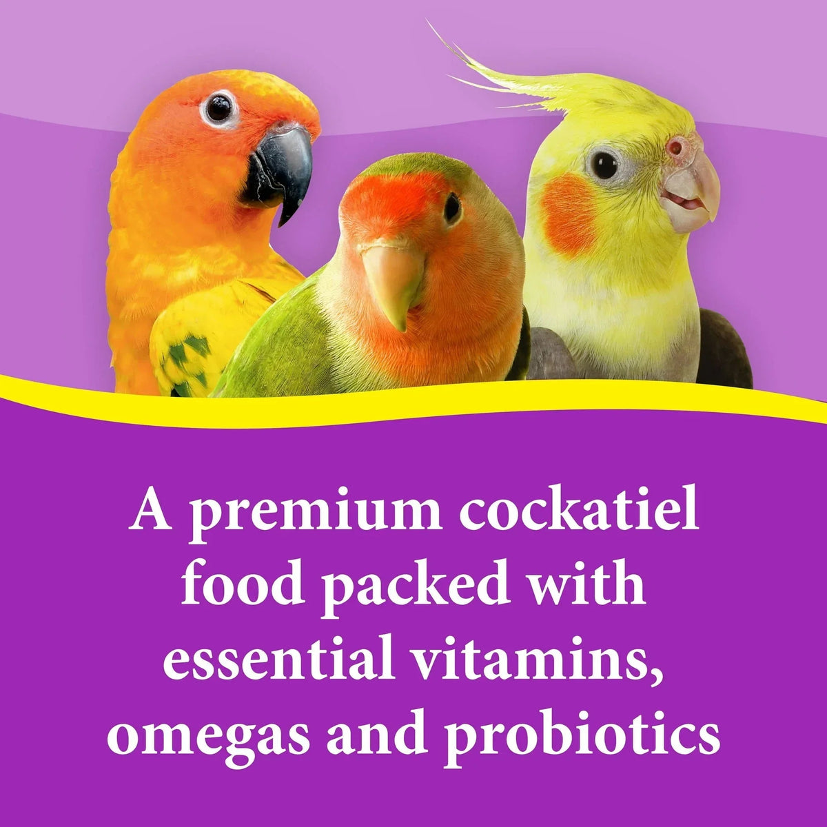 3-D Pet Products Premium Cockatiel Bird Food Seeds, with Probiotics, 4.5 lb. Stay Fresh Jar