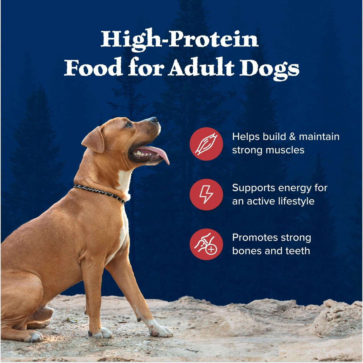Blue Buffalo Wilderness Adult Dry Dog Food, Rocky Mountain Recipe, Red Meat, 4.5-lb. Bag