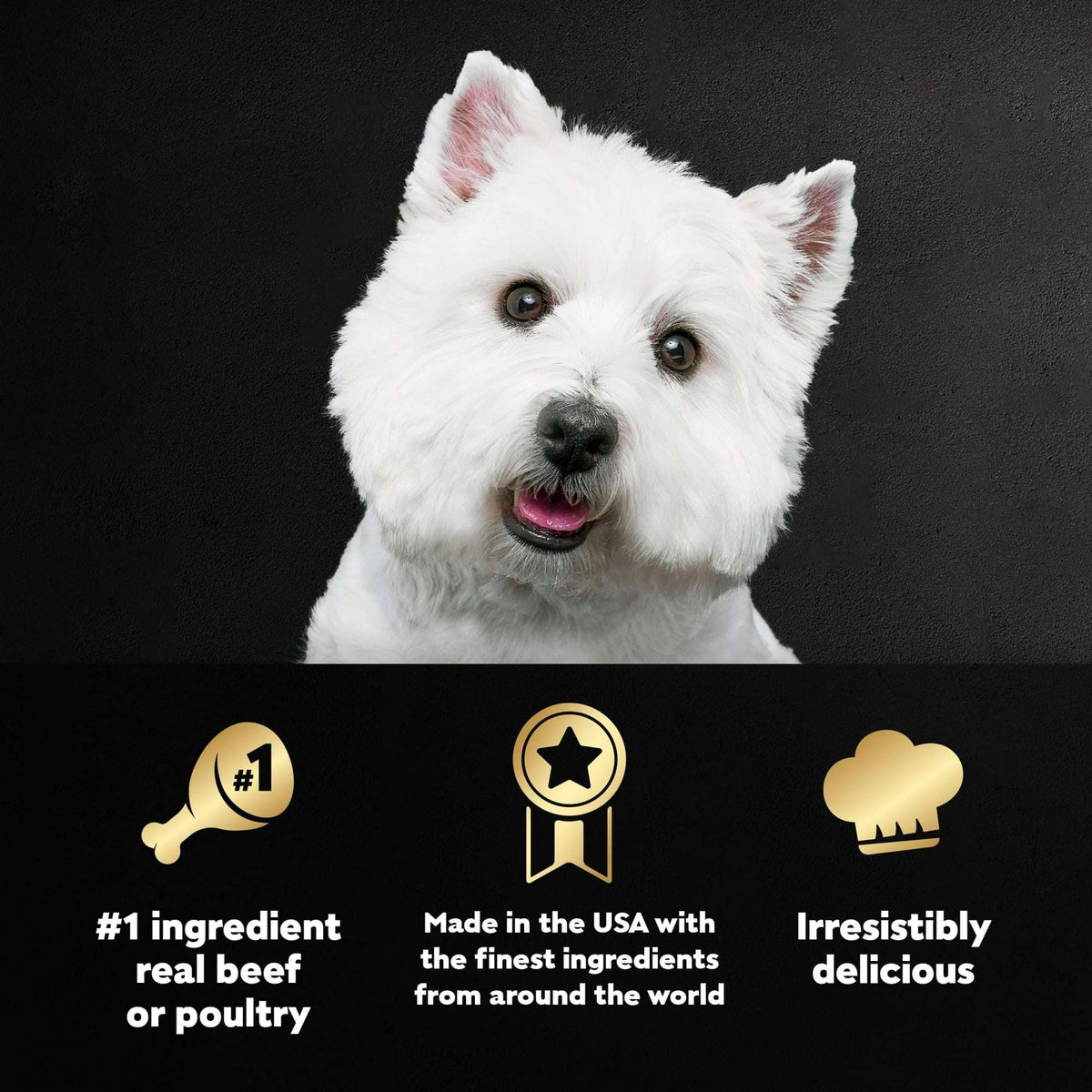Cesar Classic Loaf In Sauce Wet Dog Food Variety Pack, 3.5 Oz Trays (36 Pack)