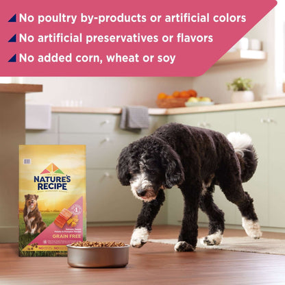 Nature's Recipe Grain Free Salmon, Sweet Potato & Pumpkin Dry Dog Food