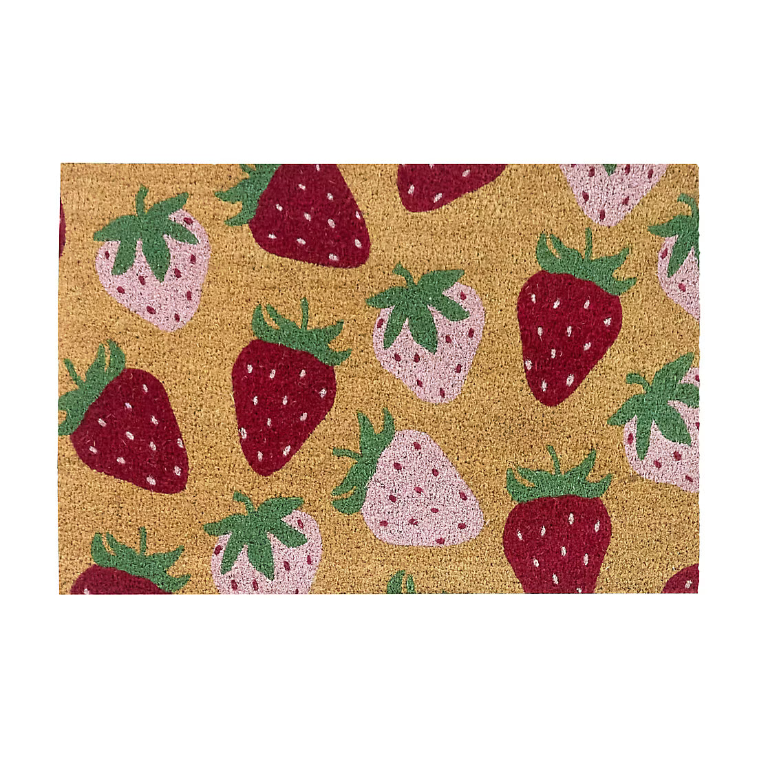 Coir Outdoor Mat 23" x 25"