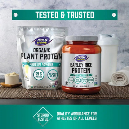 NOW Foods, Plant Protein Complex, 2 lbs (907 g)