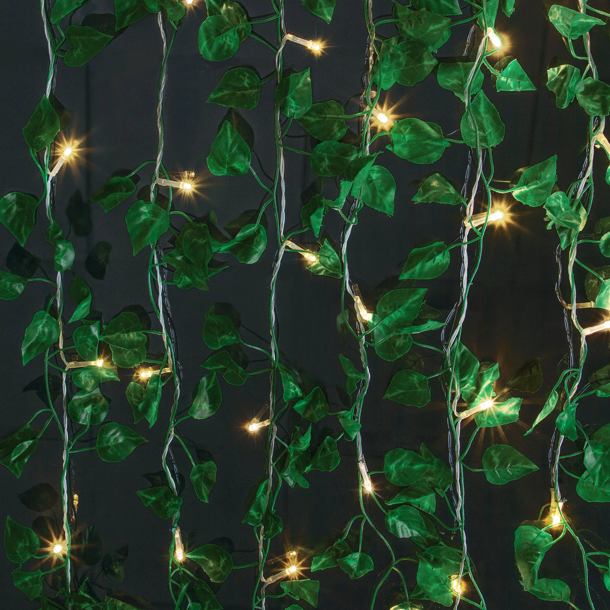 BrightSide LED Cascading Curtain Vine Indoor Lights, Warm White, 3.5ft W x 5ft H