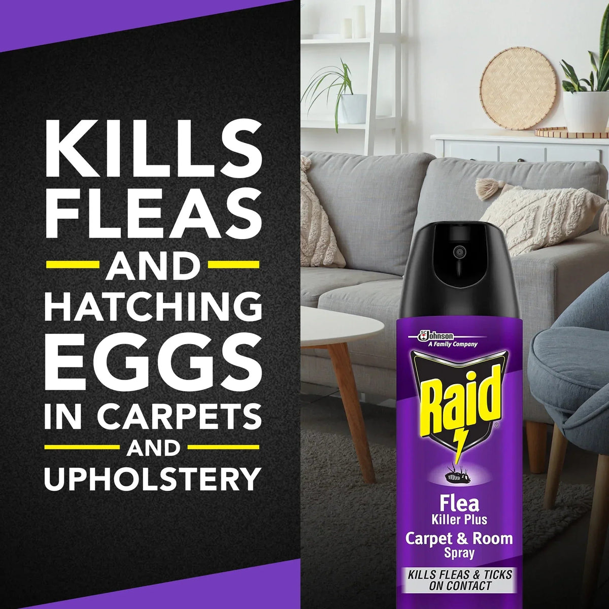 Raid Flea Killer Plus Carpet & Room Spray, Bug Spray Kills Fleas & Flea Eggs, 16 oz