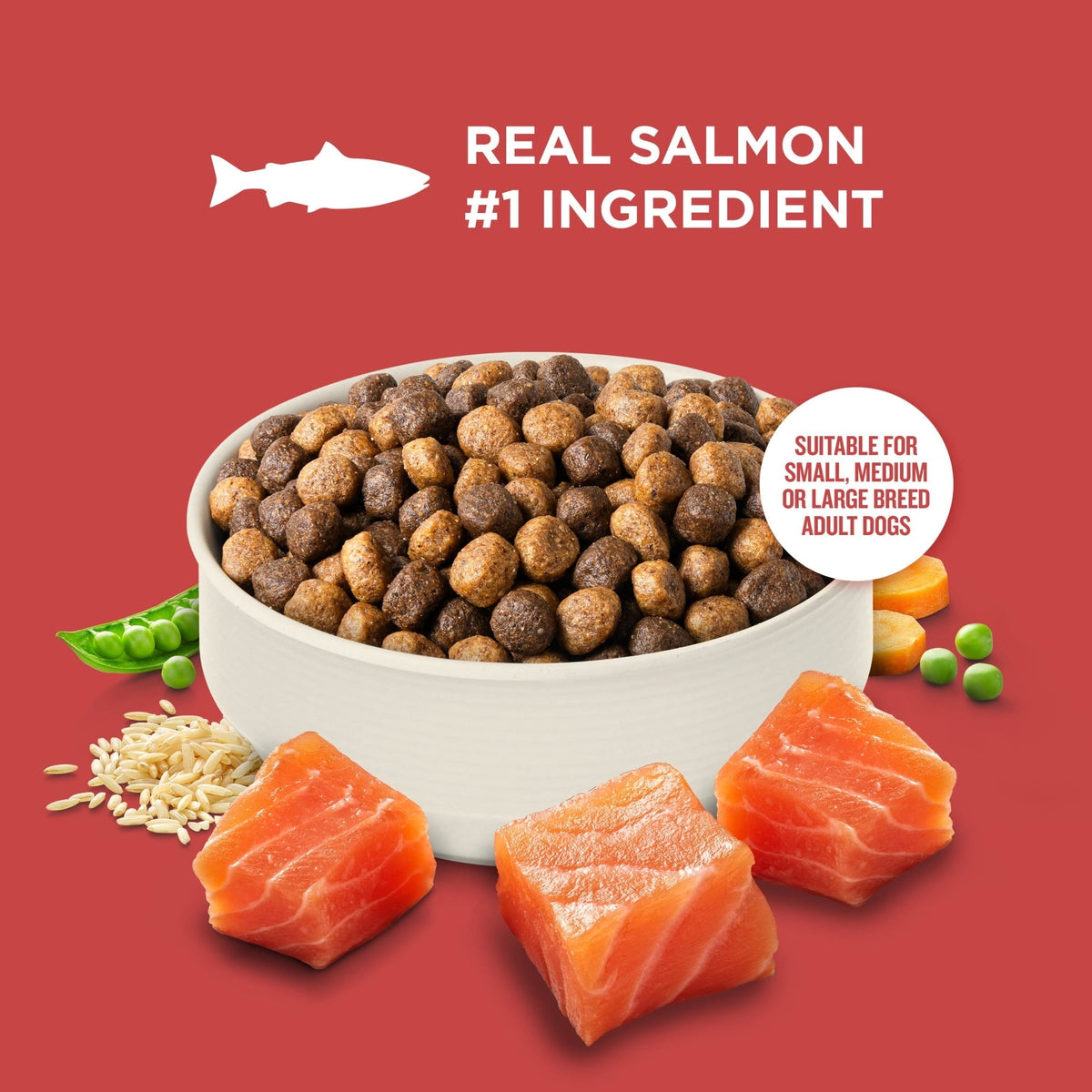 Rachael Ray Nutrish Dry Dog Food Real Salmon, Veggies & Brown Rice Recipe