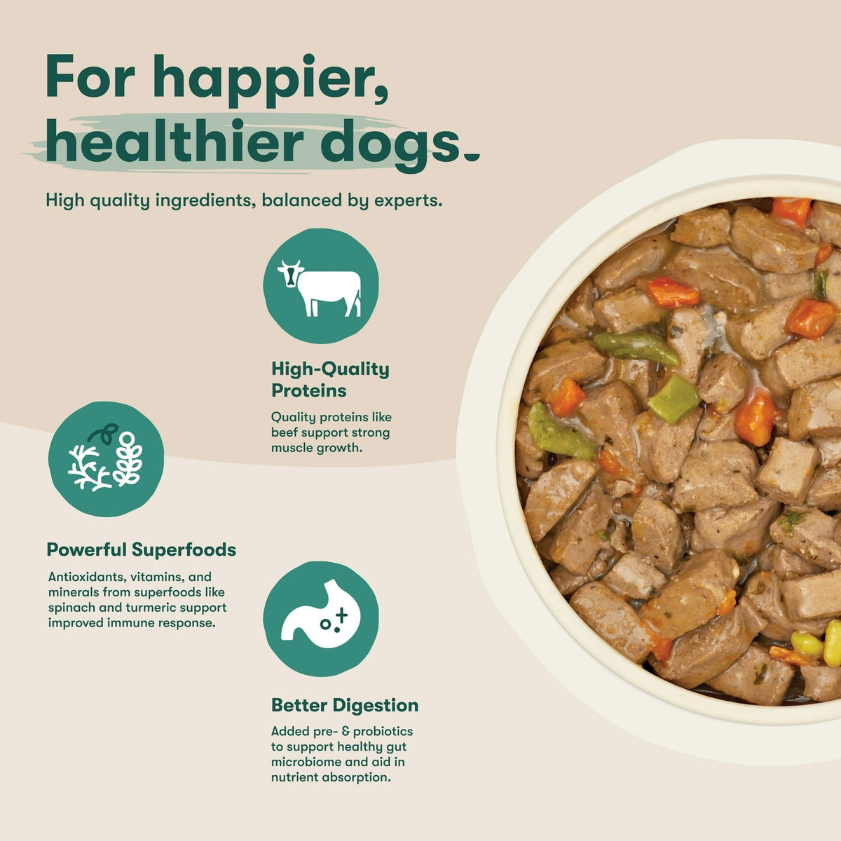 (12 pack) Jinx Bone Broth Stew Grain-Free Beef & Vegetables Wet Dog Food, 13 oz Can