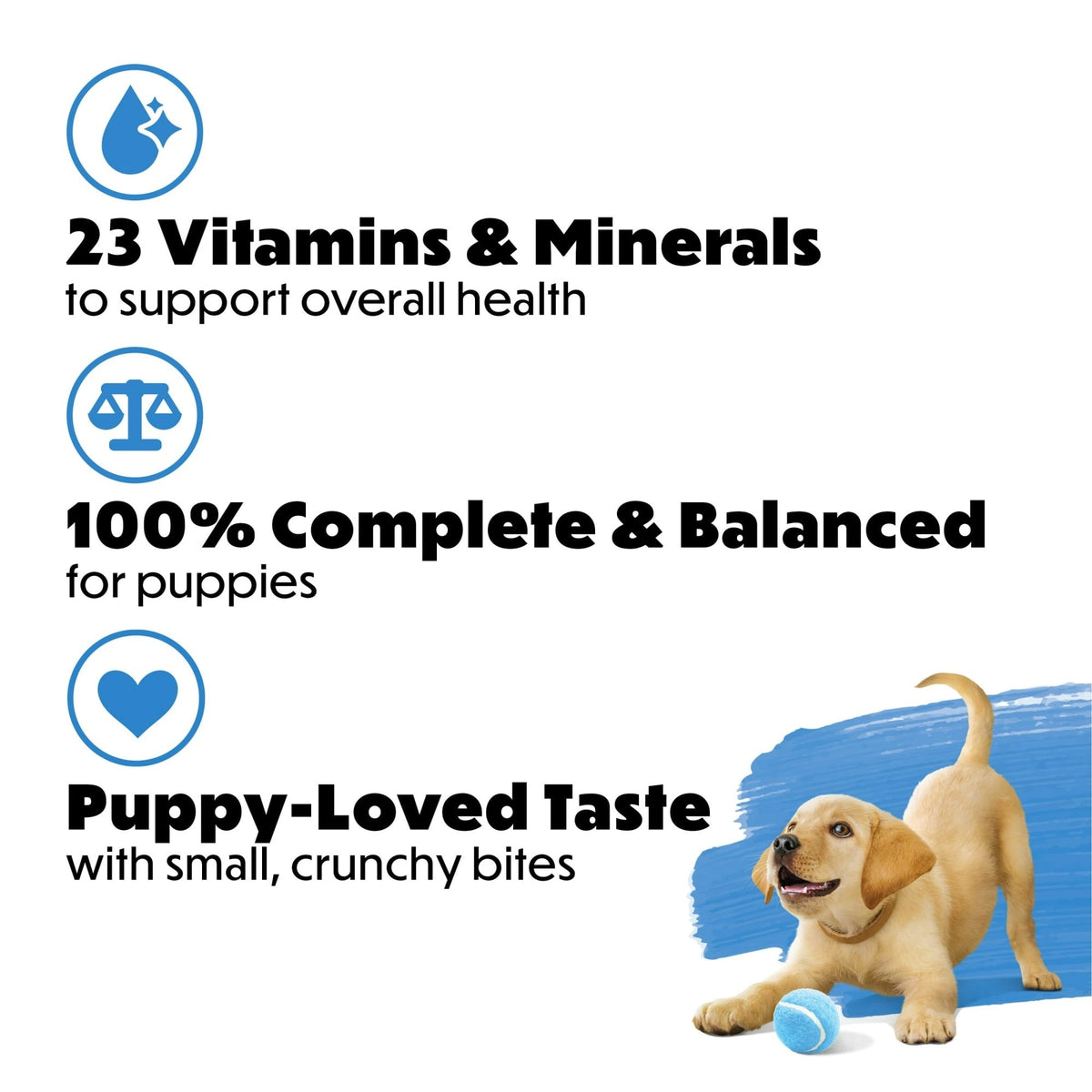 Purina Beneful Healthy Puppy with Farm-Raised Chicken, Natural High Protein Dry Puppy Food Formula with Added Vitamins, Minerals and Nutrients, 14 lb Bag