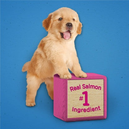 (2 pack) Purina Puppy Chow Dog Training Treats, Healthy Start with Real Salmon, 7 oz Pouch