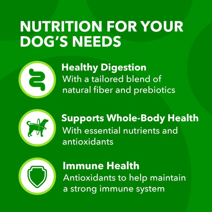 IAMS Proactive Health Adult Minichunks Chicken & Whole Grain Recipe Dry Dog Food