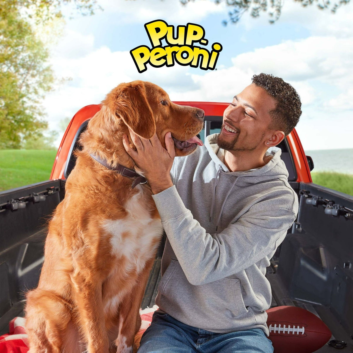 Pup Peroni Original Beef Recipe Dog Treats