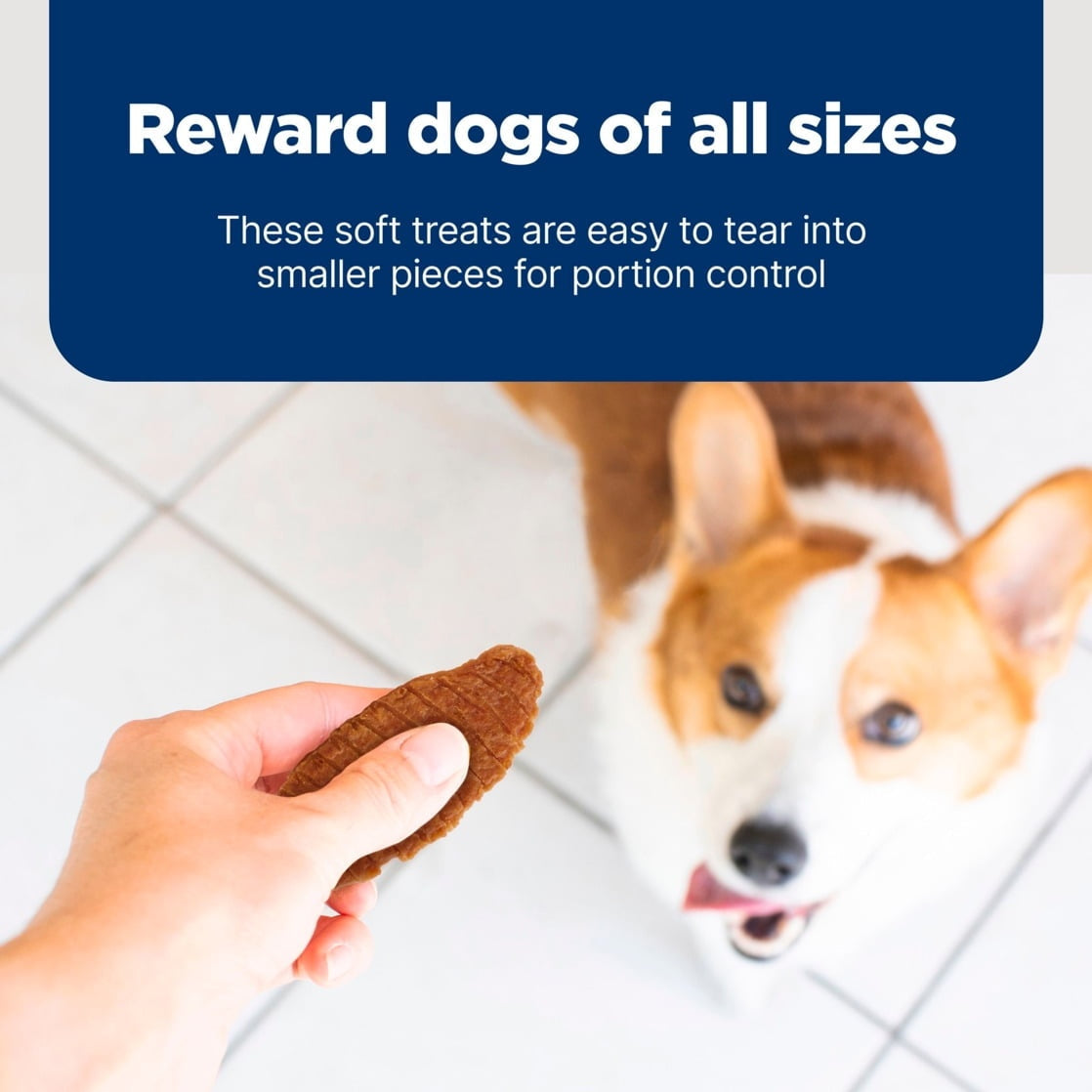 Blue Buffalo Nudges Jerky Cuts Dog Treats, Chicken