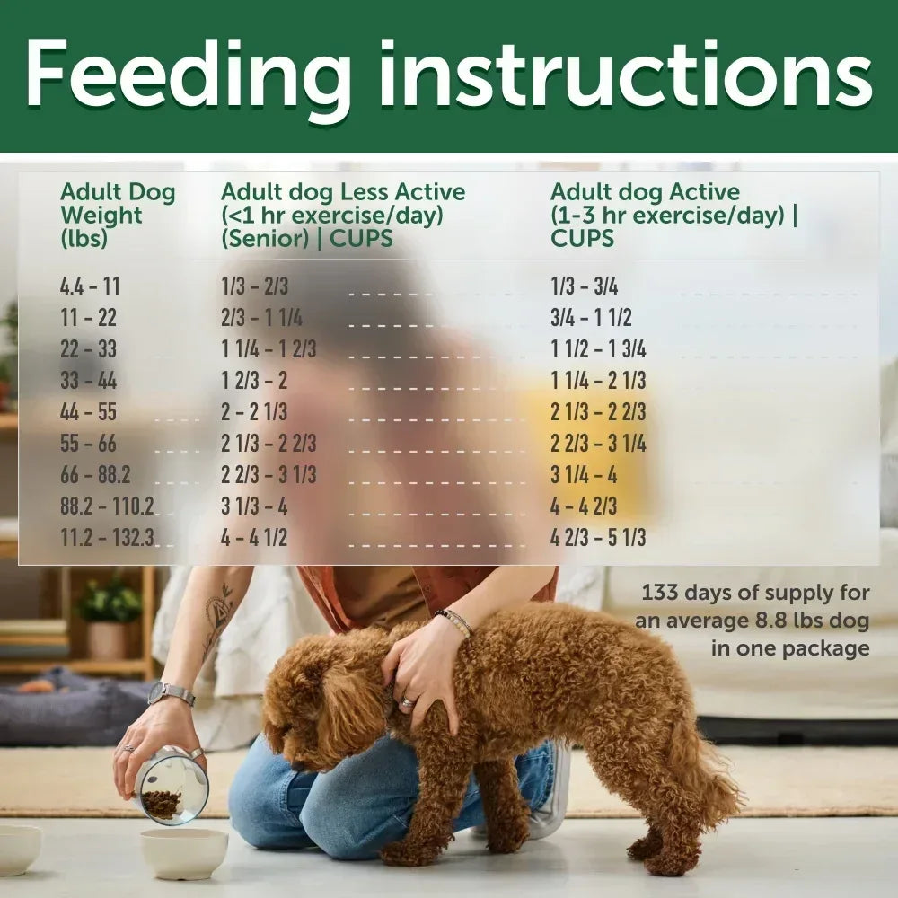 Nature's Protection Superior Care Grain Free Salmon Dry Dog Food, All Breed All Life Stages, 22 lb Bag