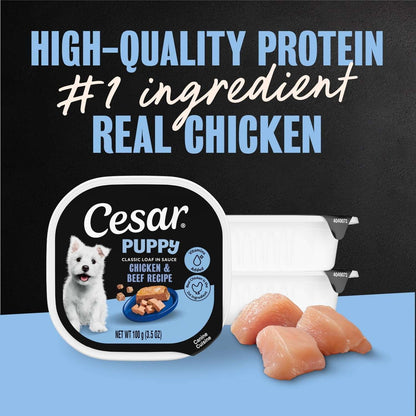 Cesar Classic Loaf In Sauce Chicken And Beef Recipe Wet Dog Food For Puppies, 3.5 Oz Tray