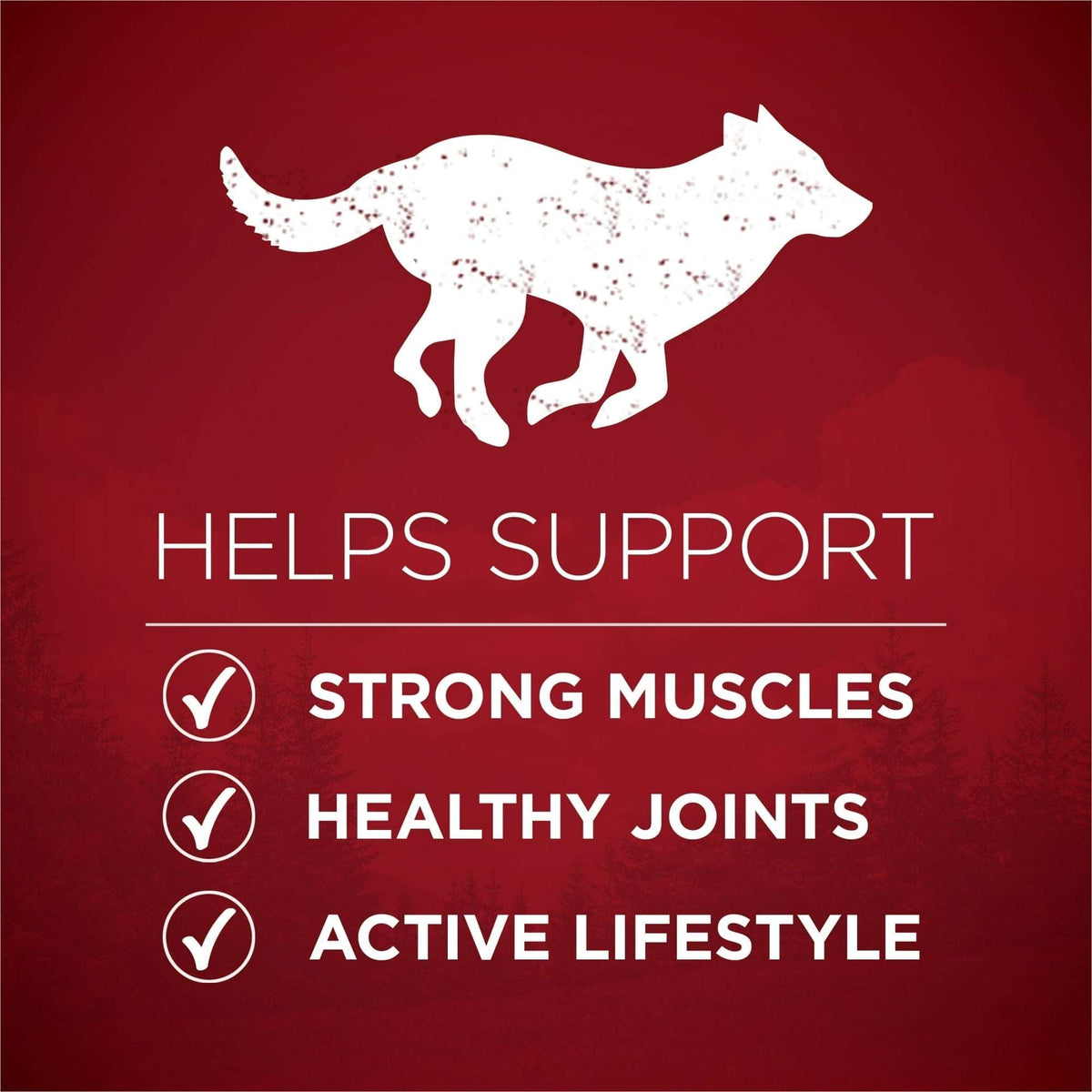 Purina ONE True Instinct Dry Dog Food for Adults, High Protein with Real Beef & Salmon