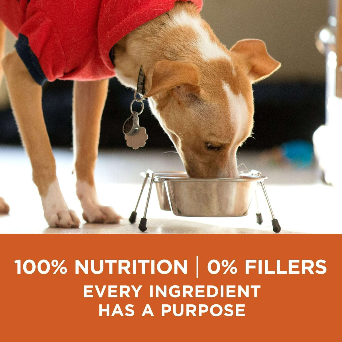 Purina ONE Plus Healthy Weight Dry Dog Food for Adults, High Protein with Real Turkey, 40 lb Bag