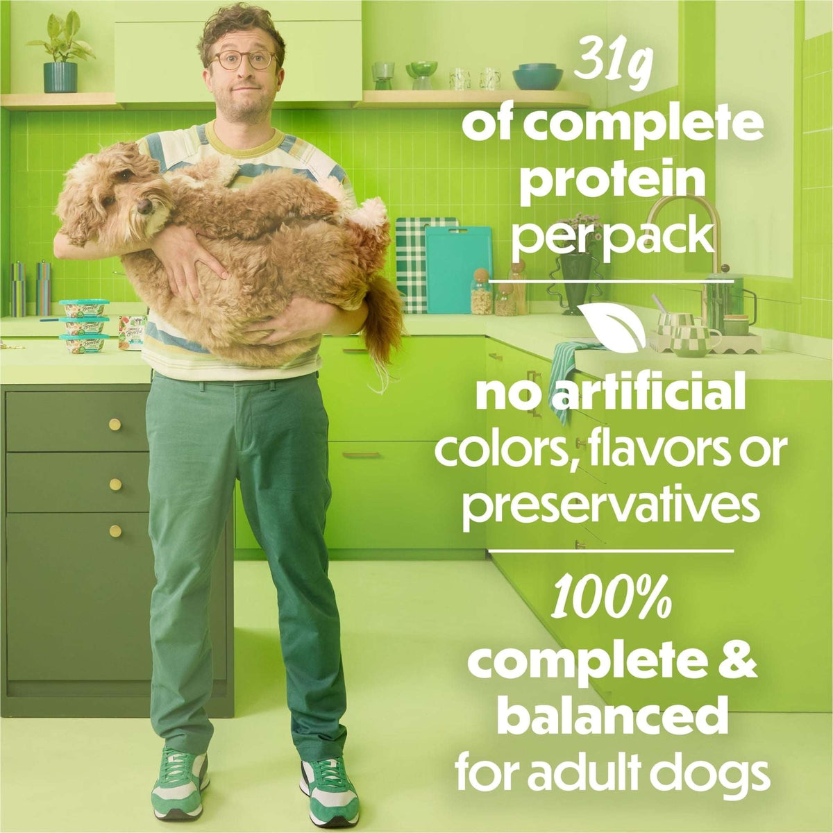 (4 pack) Purina Beneful Freshly Prepared Blends Wet Dog Food with Turkey, Sweet Potatoes, Brown Rice and Spinach, 10 oz Tub