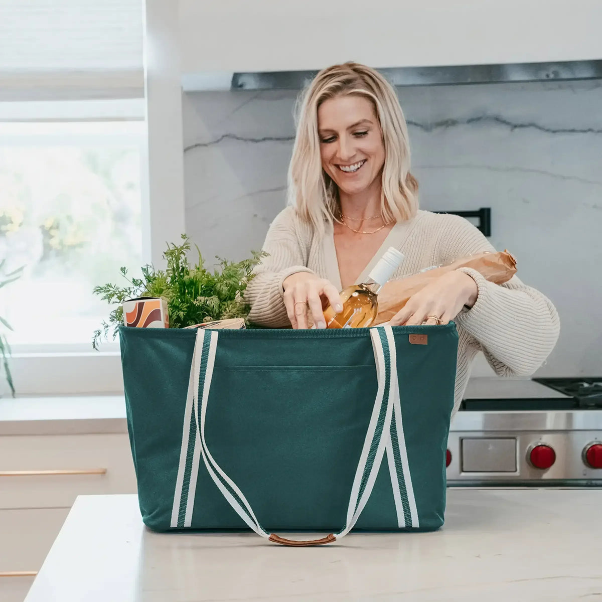 CleverMade Collapsible CarryAll Tote, 2-pack