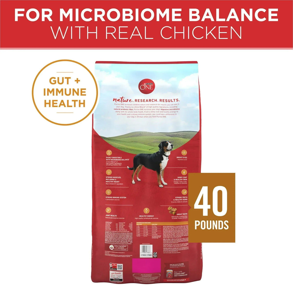Purina One Dry Dog Food for Adult Dogs High Protein, Real Chicken & Rice