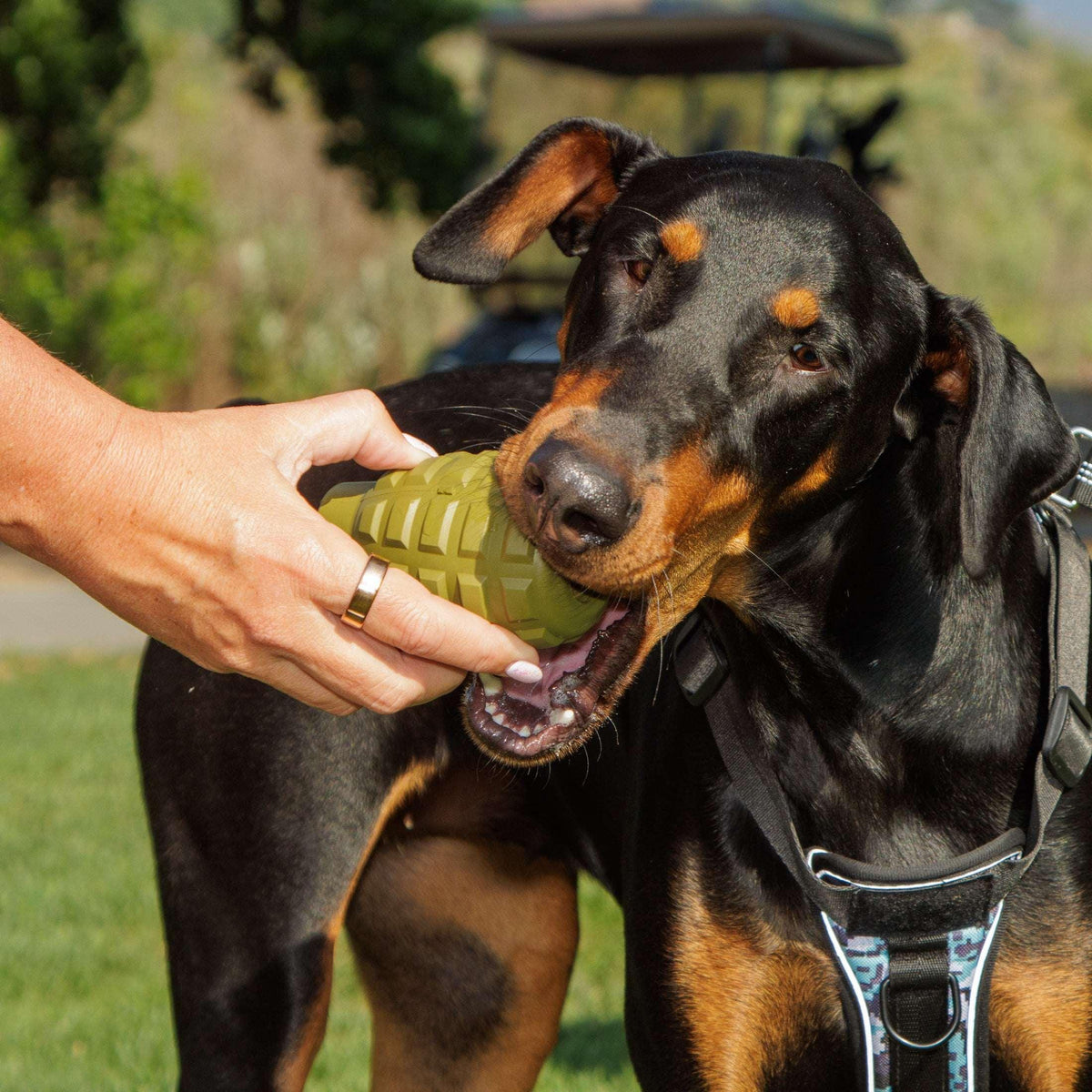Operation Good Boy Grenade Dog Toy for Aggressive Chewers, Teething Toy with Treat Dispenser, Green