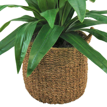 Faux 42" Dracaena in Handwoven Boho-Style Basket