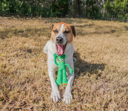 Multipet Gumby Plush Dog Toy, Green, Squeaker